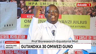 Bw'otalina kusubwa mu musomo gwa great Sundowner ogw'omukenkufu
