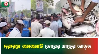 দরদামে জমজমাট ভোরের মাছের আড়ত | Jibonnagar | Fish Wholesale Market | Boishakhi Tv News
