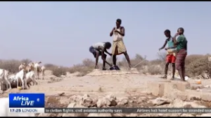 Failed rains lead 6.5 million into hunger in Somalia