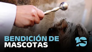 Bendición de mascotas este 4 de octubre en los Capuchinos