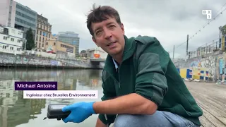 Le canal de Bruxelles retrouve progressivement sa couleur : “Les tests sont déjà meilleurs”