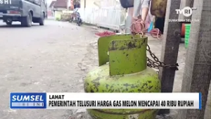 SUMSEL HARI INI - PEMERINTAH TELUSURI HARGA GAS MELON MENCAPAI 40 RIBU