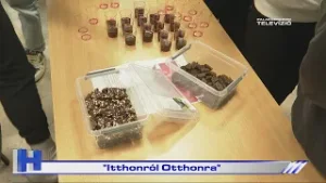 Itthonról Otthonra – ZTV Híradó 2026-02-03