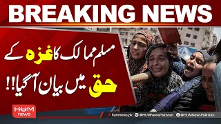 Muslim Nations Speak Out in Support of G*za | Breaking News | Hum News | Pakistan