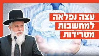 Rabbi Zamir Cohen - A Wonderful Piece of Advice for Troubling Thoughts