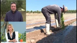 Queja de un agricultor por la regularizacion de inmigrantes: "La demagogia que hay en la política"