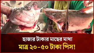People Are Buying and Eating Fish Heads: Gourmet Taste at Budget Prices! | Mytv Special