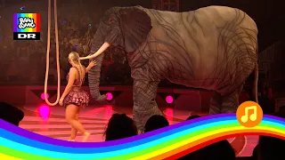 Elsker Dig Så Meget | Sange fra Cirkus Summarum