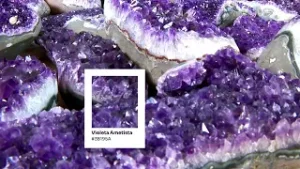 Primavera no Uruguai