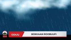 Odeeffannoo raaga  qilleensaa  ogeeyyiin  kennan hordofuun  milkaa'ina damee qonnaaf gumaacha.