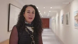 FAKE NEWS MILL-MIDJA TAL-PN