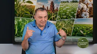 Растителна защита: Разнообразяването на сеитбооборота – ключ към по-устойчивото земеделие