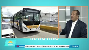 Senador Antonio Marte plantea entidad única de transporte