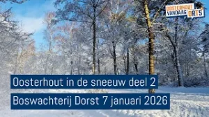 Oosterhout in de sneeuw deel 2 januari 2026