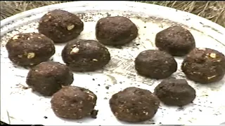 Antrenamente si preparate culinare la Darvari