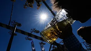 Calor e seca: por que é que a cerveja poderá escassear na Oktoberfest