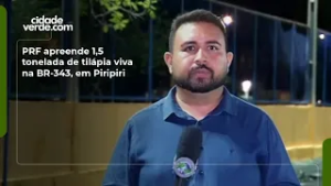 PRF apreende 1,5 tonelada de tilápia viva na BR-343, em Piripiri