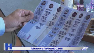 Mustra Wine&Chill – ZTV Híradó 2026-09-07