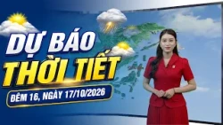Weather Forecast for the night of 10/16 and 10/17/2026