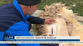 Pesë breza të familjes Binakaj ruajnë ritin e qethjes së deleve në Dukagjin