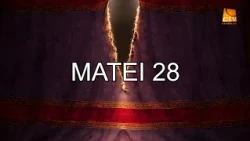 Bible Reading Matthew 28