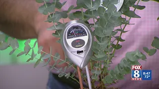 Dig This: Moving plants indoors