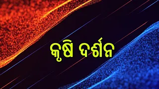 Krushi Darshan || କୃଷି ଦର୍ଶନ || ପିଜୁଳି ଏବଂ ପାନ ଚାଷର ଆଧୁନିକ ପ୍ରଣାଳୀ || 17th August 2026