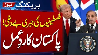 Pakistan Rejects Palestinians Expulsion | Breaking News | Samaa TV
