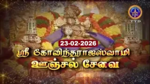 Sri Govindarajaswamy vari || Unjal seva || Tirupati || SVBC2 Tamil || 23-02-2026 || SVBC TTD