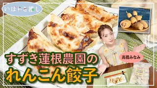 #280 Suzuki Lotus Root Farm's Lotus Root Gyoza_120 seconds