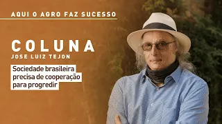 Where Agribusiness Succeeds: Brazilian society needs cooperation to progress