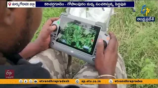 తూర్పుగోదావరిలో పెద్దపులి కలకలం