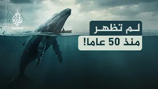 الحيتان الزرقاء.. عودة العمالقة | أسرار أضخم كائن على الأرض