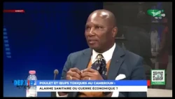 TOXIC CHICKEN AND EGGS IN CAMEROON: Health scare or economic warfare?