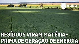 Organic waste becomes raw material for energy generation