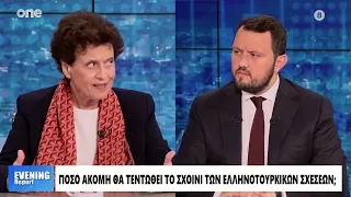 Αφεντούλη: Δεν με φοβίζει η ισχύς της Τουρκίας – Δεν ξέρω αν μας συμφέρει η επανεκλογή Νετανιάχου