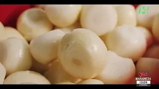Las sugerencias del chef | Mañanera 360 | 17 de agosto