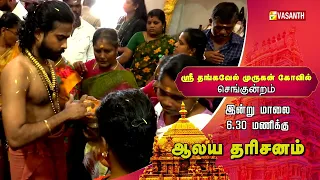 Red Hills Thangavel Murugan Temple | தங்கவேல் முருகன் திருக்கோவில் | Aalaya Dharisanam | Vasanth TV