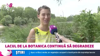 Lacul de la Porțile Orașului, lăsat să moară: Peștii înoată prin gunoaie, iar nivelul apei a scăzut