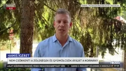 Az adócsökkentés költségvetéséből kimaradtak a zöldségek és a gyümölcsök- HírTV
