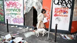 'I've never seen such destruction': Parisians react to destruction after weekend protests