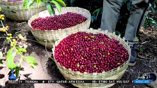 07/03/2026 ...أخبار عربية