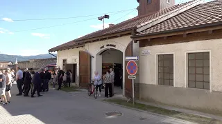 „Sertál“ oslavoval