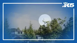 Watch: Plane falls out of sky into Lake Stevens backyard