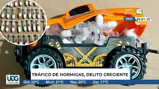 Tonight's Top Headlines | August 19, 2026