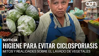 Foolproof Criteria for Choosing Fresh, Risk-Free Lettuce at the Market
