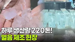 신VJ특공대: 폭염 특수, 하루 생산량 220톤! 얼음 제조 현장 [2TV 생생정보] | KBS 260730 방송