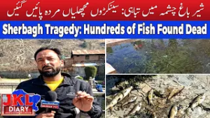 Mass Fish Deaths in Anantnag’s Sherbagh Spark Alarm | Water Contamination Suspected | JKL DAIRY