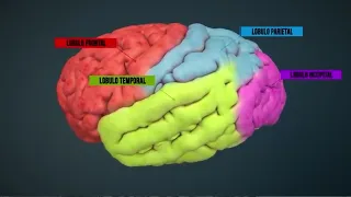 UNAH apuesta por la salud mental con enfoque multidisciplinario