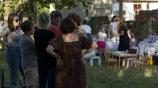 Nefelejcs a zöldben